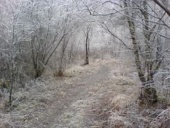 hoar frost gorges de cagnes